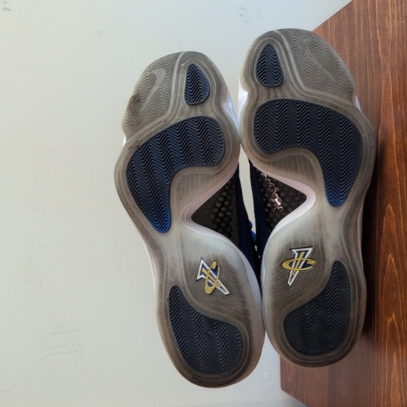 air penny 5 blue chips